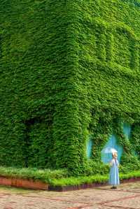 發現廣州新的拍照地長滿藤蔓的漫畫小屋~