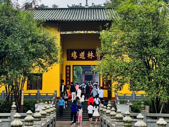 山雨綿綿，禪行南華寺