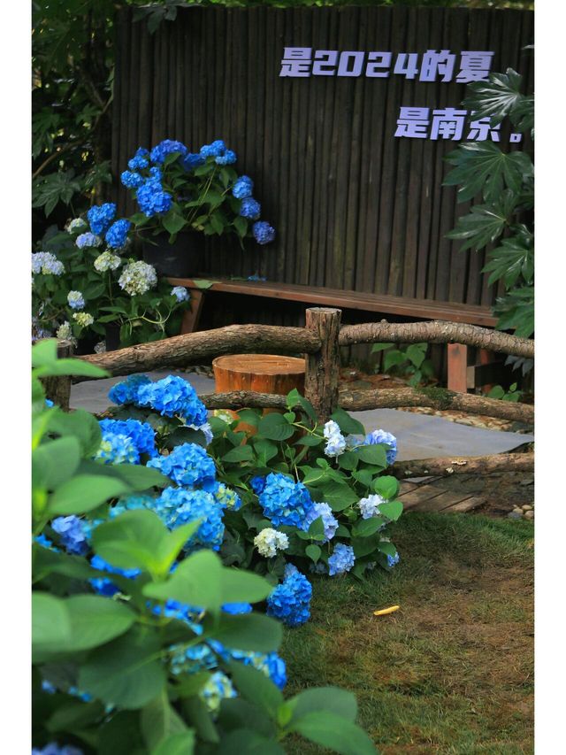 南京，隱秘在紫金山下的無盡夏花園