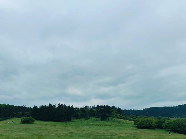 閃避！武隆天生三橋、仙女山