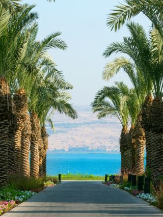 🌟 Luxe Lakeside Leisure at The Setai Sea of Galilee 🏖️