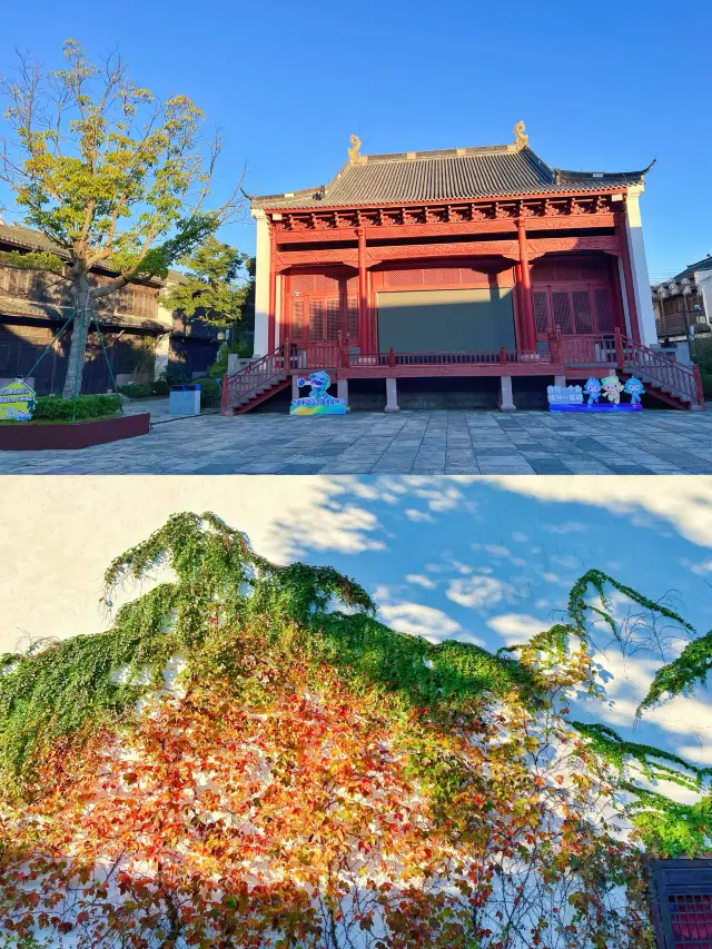 象山에 와서 동해의 일출을 감상해 보세요