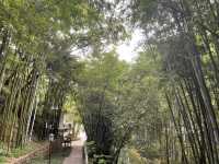 從化廣東溫泉賓館裡面的白石山