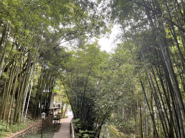 從化廣東溫泉賓館裡面的白石山