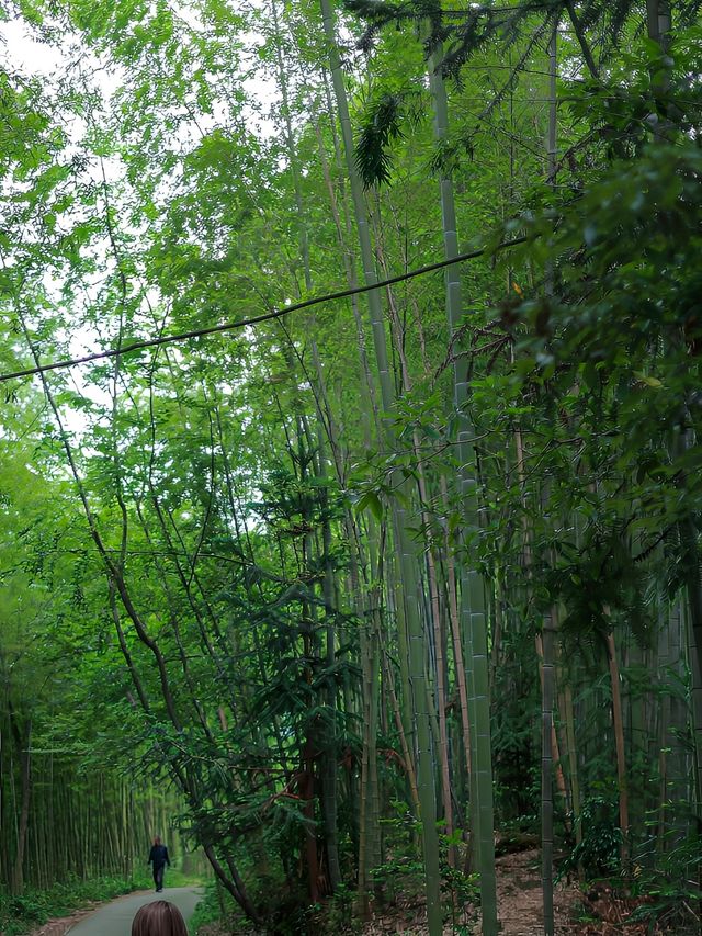 彭州陽平玄觀