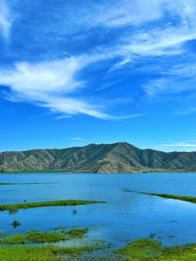 我的阿勒泰之可可托海 我的阿勒泰之可可托海