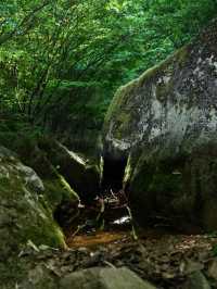 洛陽龍峪灣森林公園，夏日裡的一抹清涼