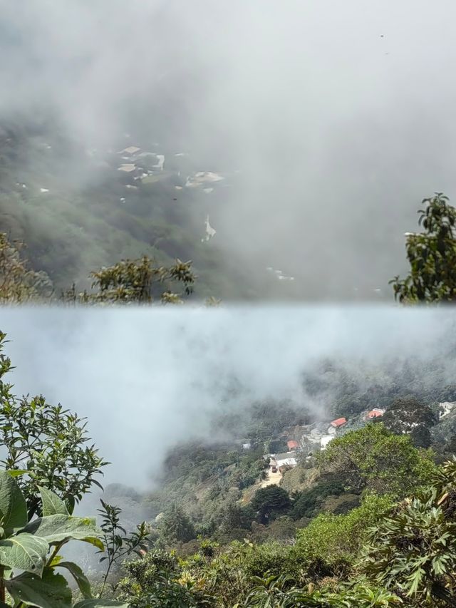 在阿維拉山纜車看不一樣的風景！