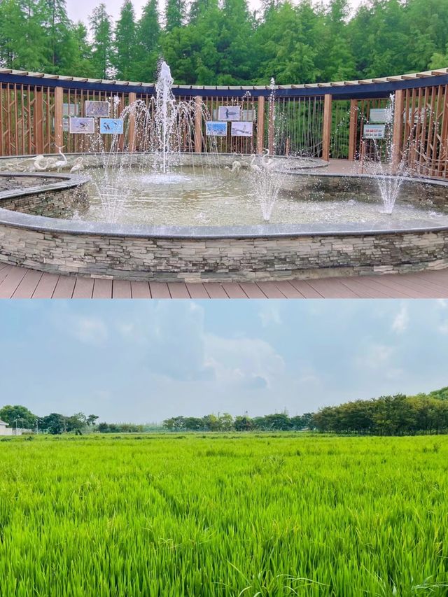 崇明島|像極了宮崎駿動漫裡的地方