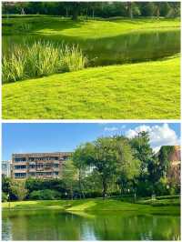 摩訶池公園，來了就不想走！