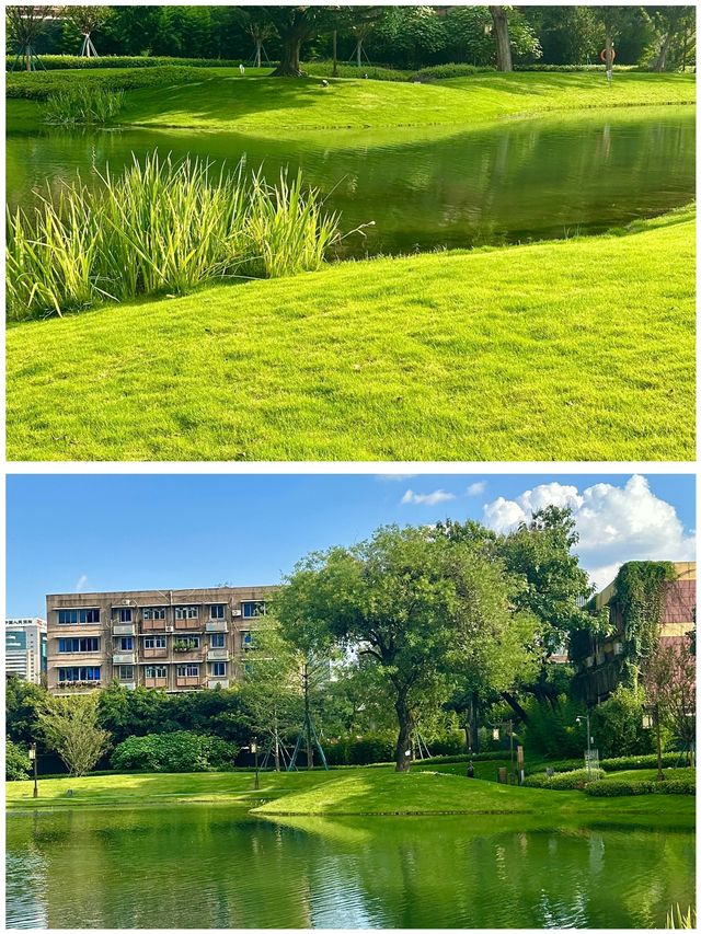 摩訶池公園，來了就不想走！