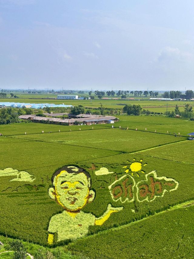 沈陽｜稻夢空間攻略