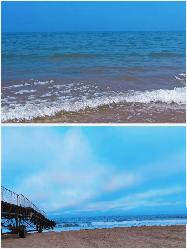 日照趕海的好去處，夏日來山東趕海吧