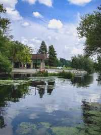 阿西尼博因公園：在這裡可以看到胖嘟嘟的北極熊在你頭頂游泳打鬧