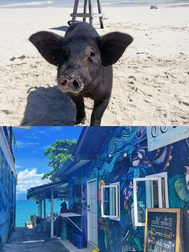 蘇梅島兩日遊，這樣玩才夠味