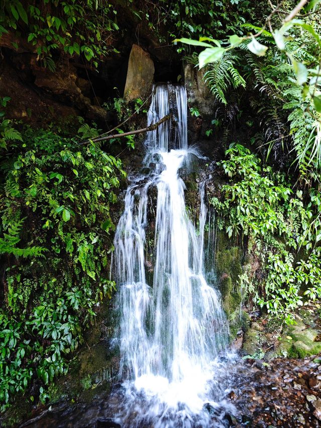 《清涼之境——華鎣山天意谷》