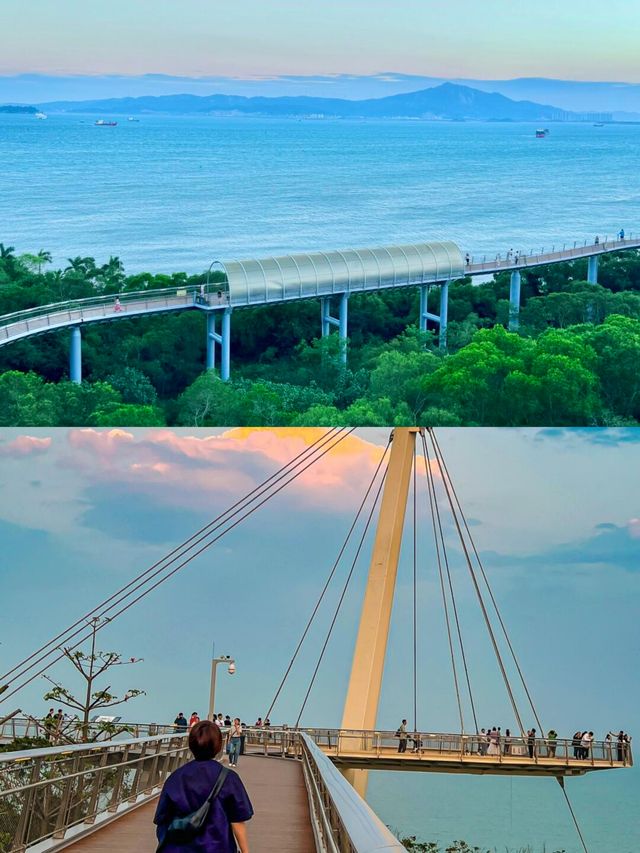 廈門！！！山海city walk路線！後悔沒早看到！