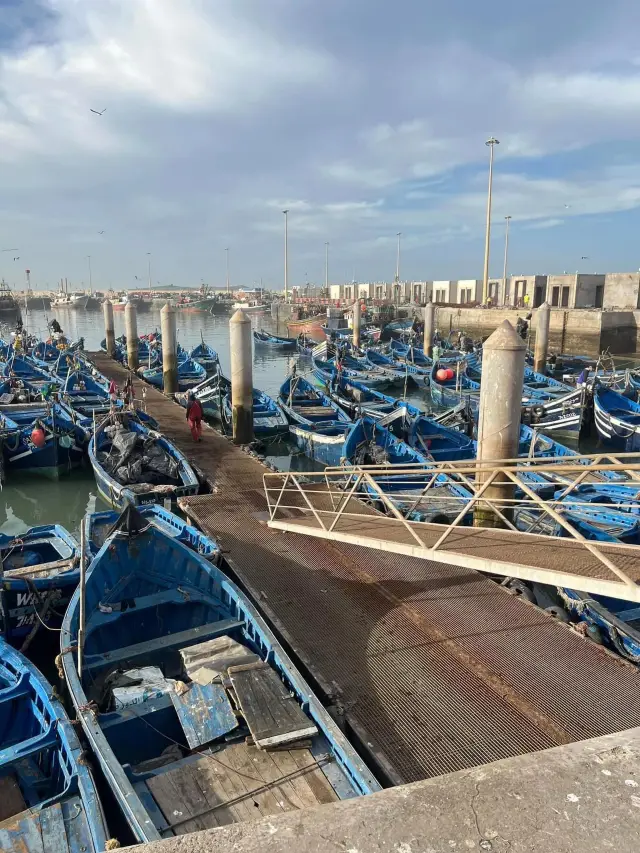 Essaouira Guide in Morocco