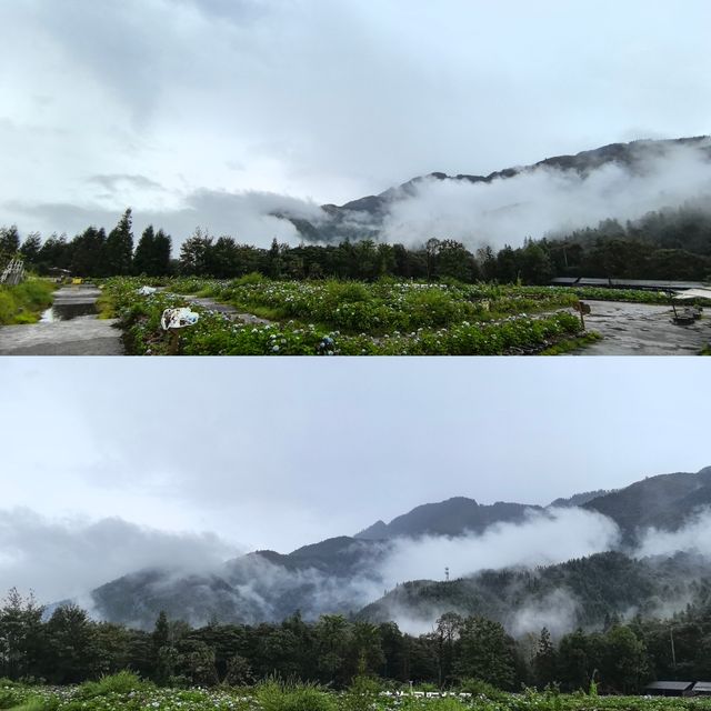 雅安“森”呼吸～～秋天第一場像樣的雨