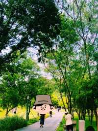 一面是湖，一面是塔，西麗湖環湖綠道美絕了！