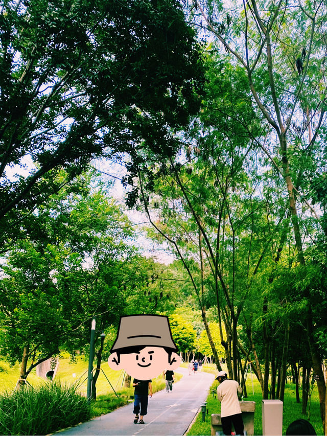 一面是湖，一面是塔，西麗湖環湖綠道美絕了！