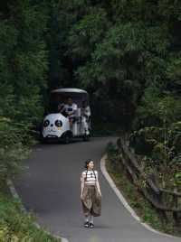 重慶主城2小時車程,我在這座山上感到非常寒冷。