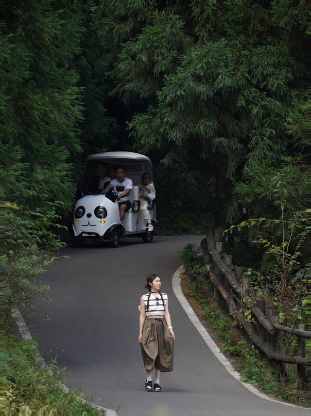 重慶主城2小時車程,我在這座山上感到非常寒冷。