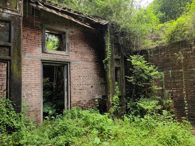 廣東雷州關新古村。