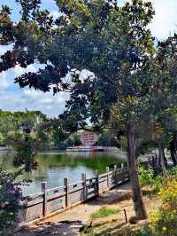 玉溪避暑之選：寧州公園。
