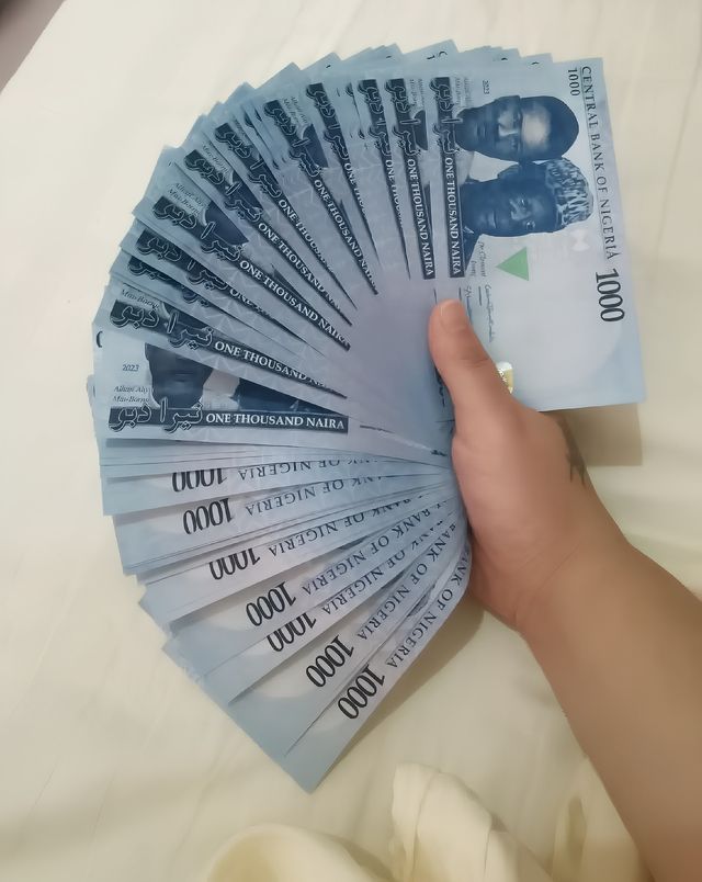 魅力拉各斯：我在非洲的奇幻之旅。