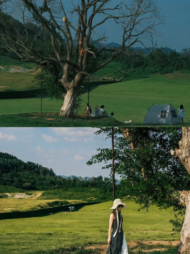 在山東發現了最像新疆的地方。
