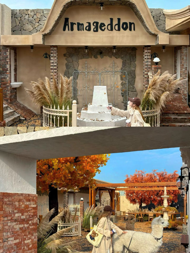 深圳新開的，不在首爾遍地金色落葉咖啡室。
