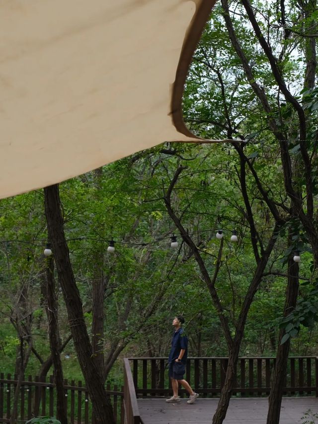 鄭州附近的森林露營地，這份愜意誰能懂？