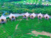 抓住最後一抹綠。