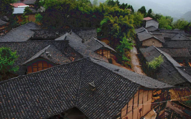 萬源！申請做你的旅行第一志願。