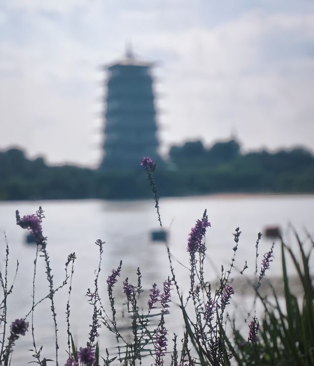 西安免費寶藏公園｜世博園。