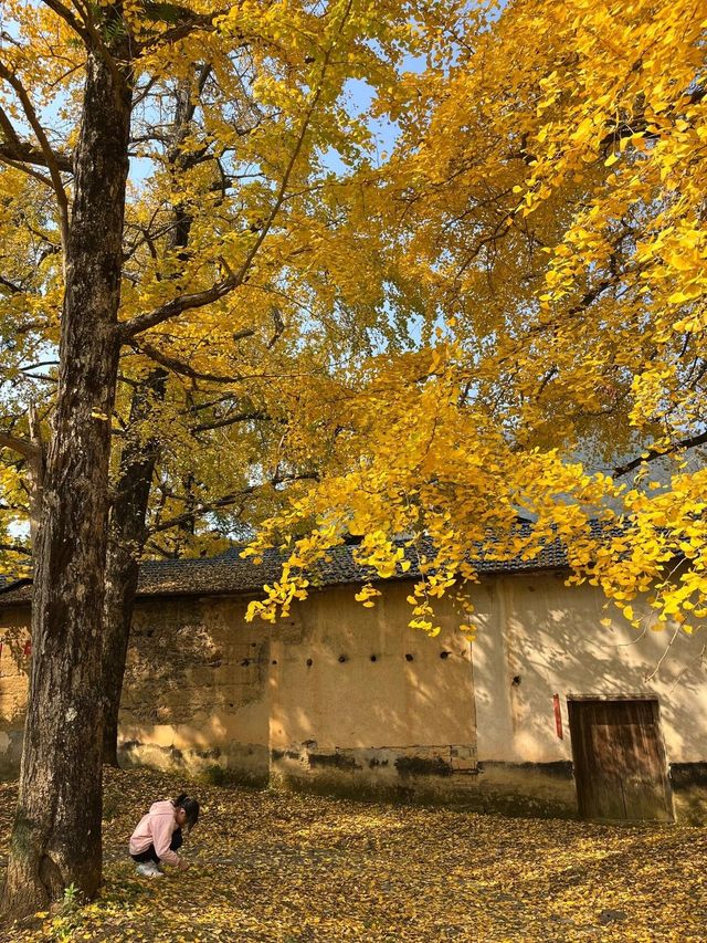 桂林漠川。