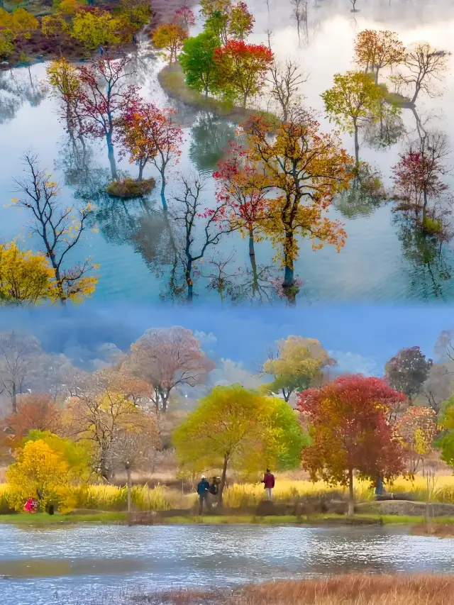 2 hours from Wuhan | I found a fairyland in autumn!