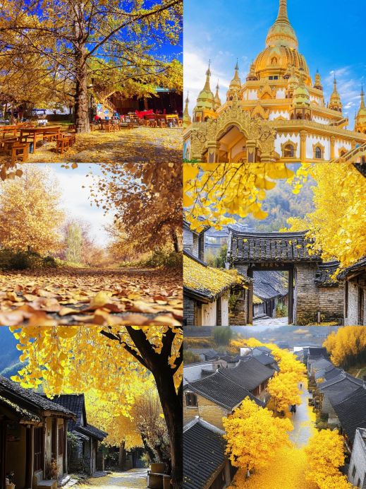 秋天的夢境，雲南騰沖的銀杏村。｜Trip.com 騰衝