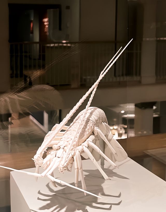 波士頓｜皮博迪·埃塞克斯博物館。