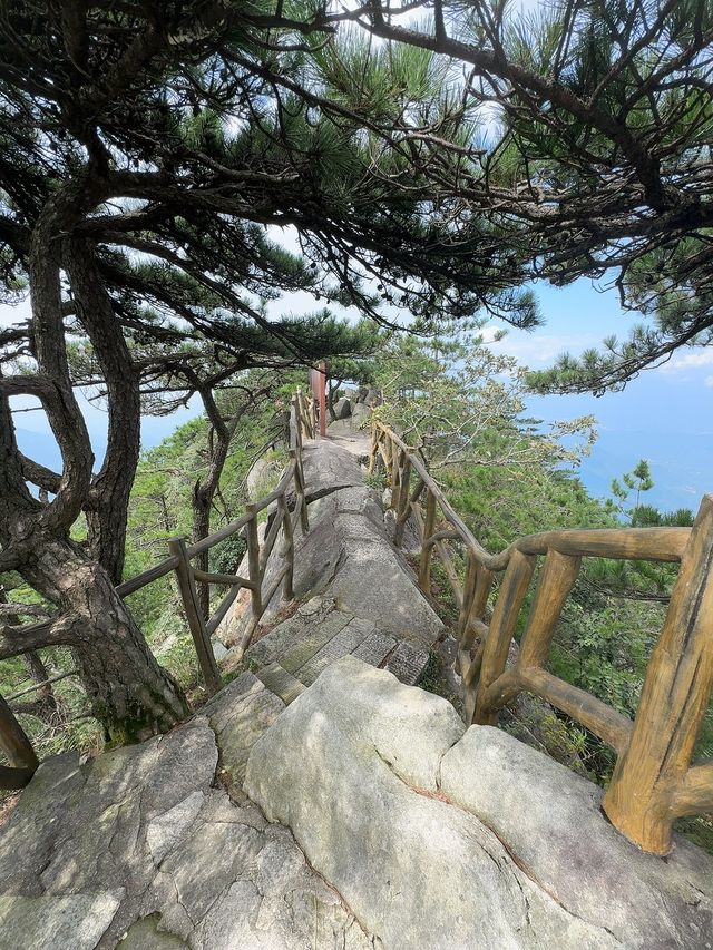 湖北黃岡薄刀峰｜值得N刷的治癒徒步路線。