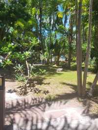芭堤雅綠色公園度假村 | Pattaya Green Park Resort  酒店：綠色公園度。
