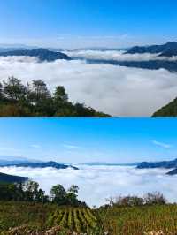 商洛鎮安海棠山。
