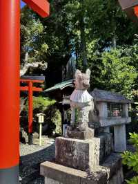 Exploring Inuyama: A Half-Day Trip from Nagoya