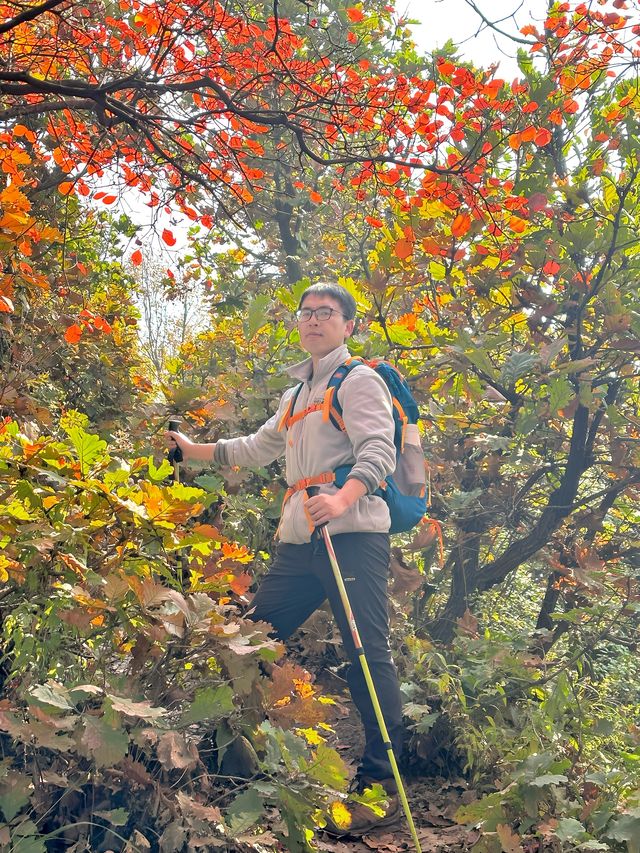 秦嶺賞秋｜別去圭峰山，來這裡吧。