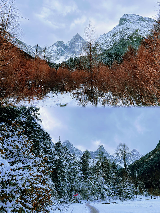 雪後的畢棚溝彷彿走進了童話世界。