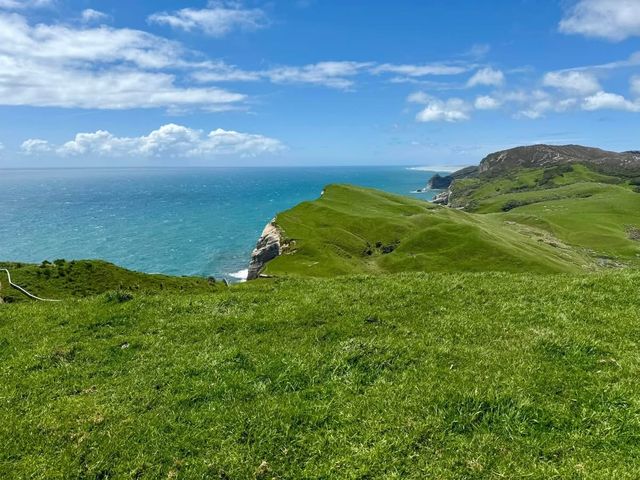 探索新西蘭南島的隱秘角落——Cape Farewell。