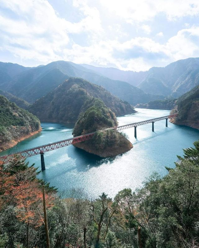 靜岡風情：茶香四溢，溫泉暖心。