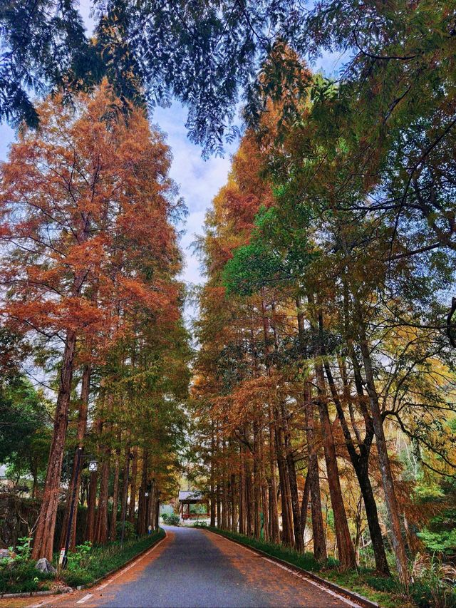 上饶大茅山