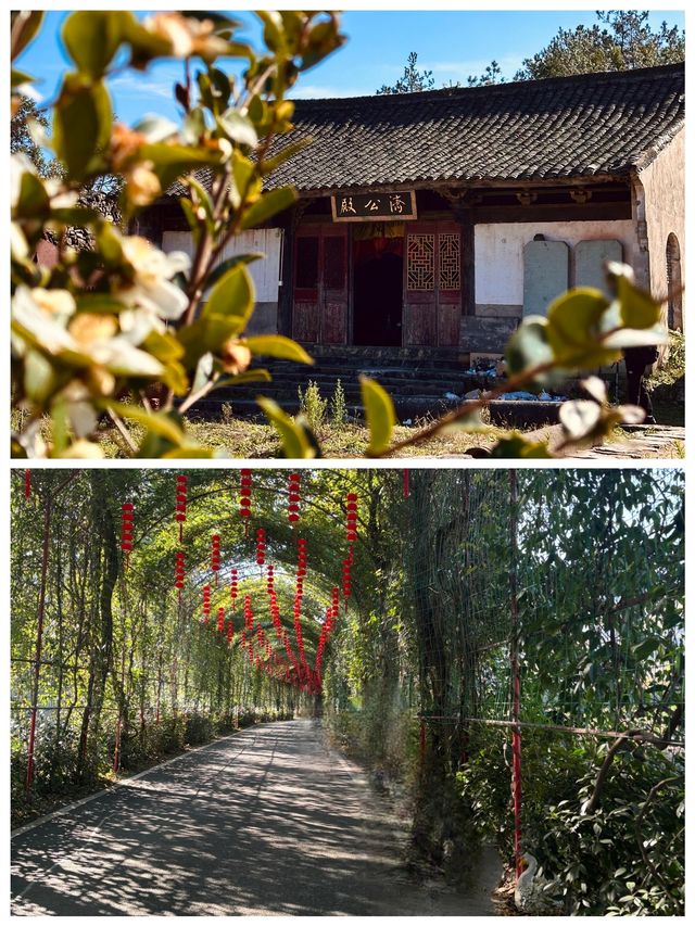 南黃古道愛旅遊且喜歡徒步的最佳之地